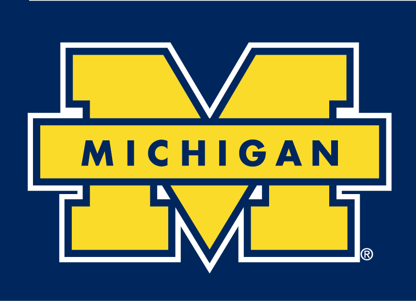 Michigan Wolverines 1996-Pres Secondary Logo v2 diy fabric transfer